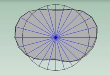 Oval Mode Shape in Hot and Cold Condition Overlaid